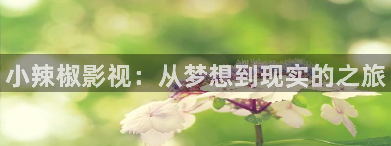 奇优影院手机版怎么看不了：小辣椒影视：从梦想到现实的之旅